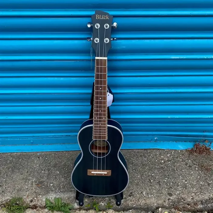 Adam Black CB120 Concert Ukulele – See Through Blue