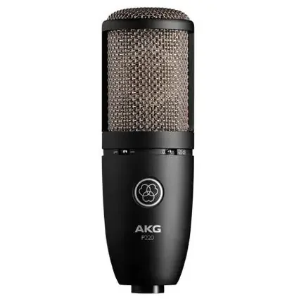 AKG P220 Condenser Microphone
