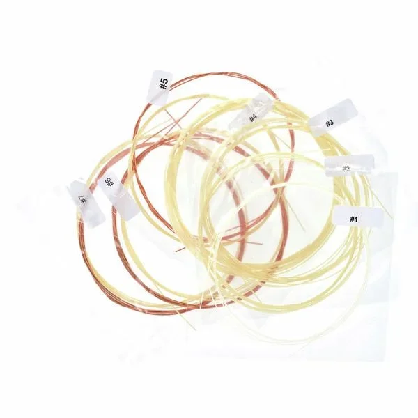 Aquila Renaissance Lute Strings 7C