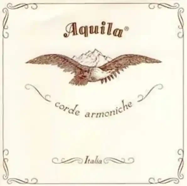 Aquila Theorbo 66NGE Nylgut Elastic Lute String x 180cm long
