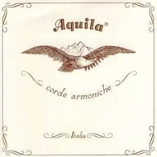 Aquila Theorbo 82NGE Nylgut Elastic Lute String x 195cm long