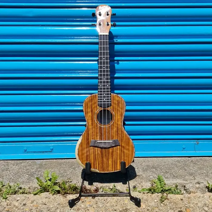 Barnes & Mullins Walnut Concert Electro Ukulele