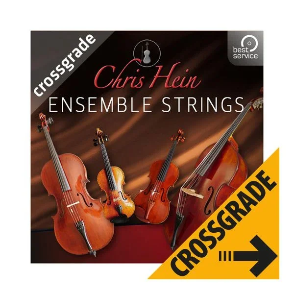 Best Service Chris Hein Ensemble Strings CG