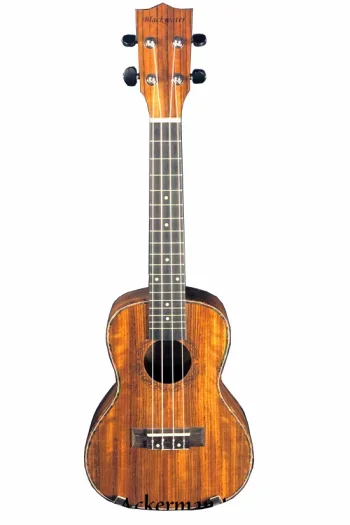 Blackwater Walnut Concert Ukulele