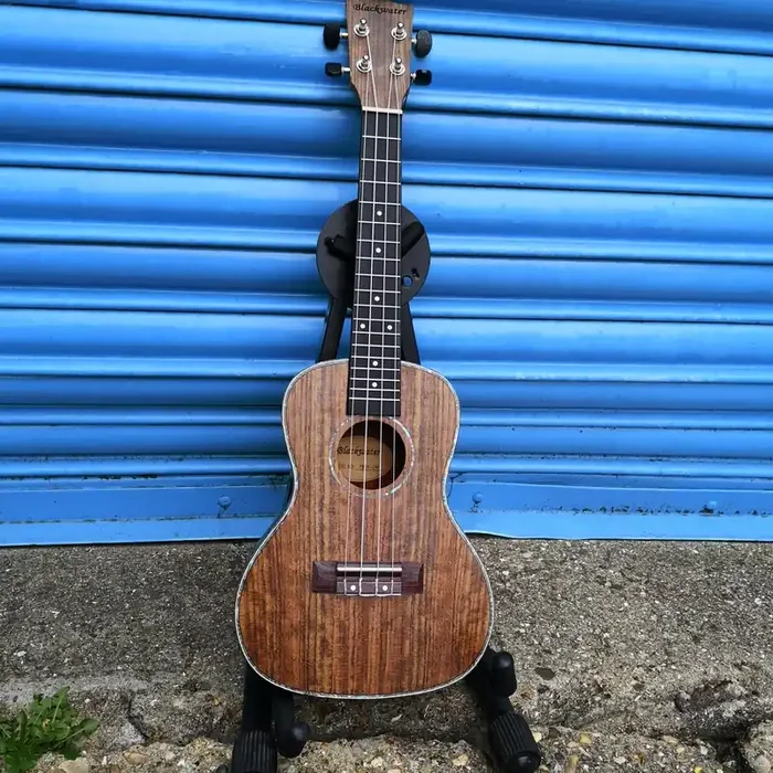 Blackwater YWUK 24F Concert ukulele (Including Gig bag)