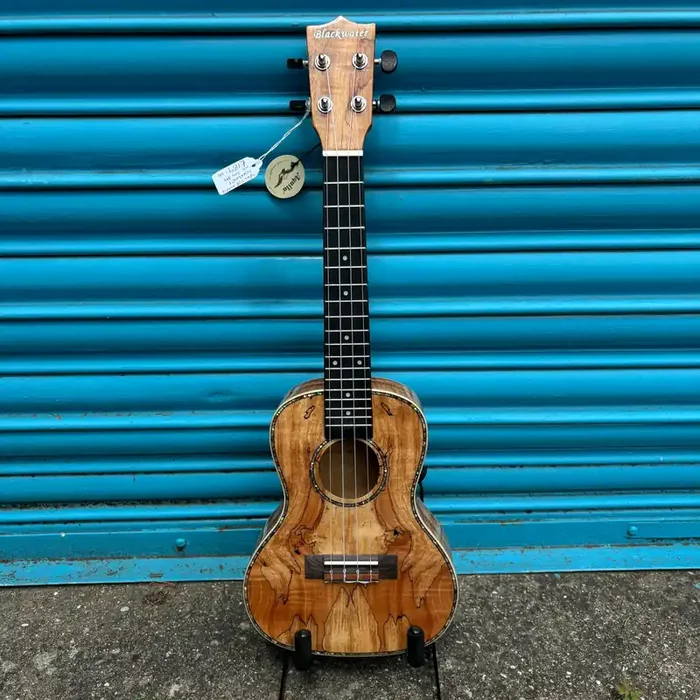 Blackwater YWUK-24FMEQ Concert ukulele (Including Gig Bag)