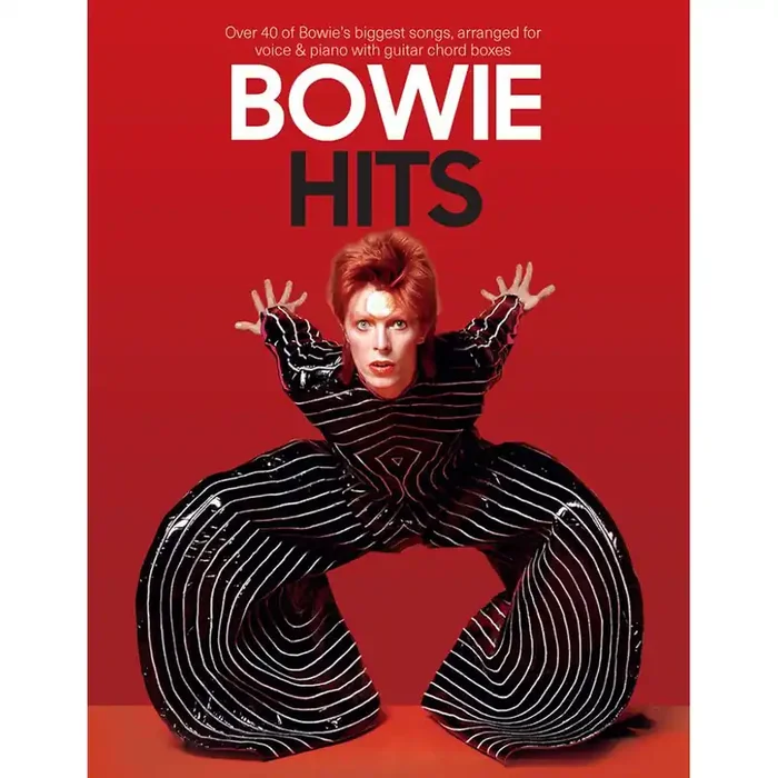 Bowie, David Bowie Hits (PVG)
