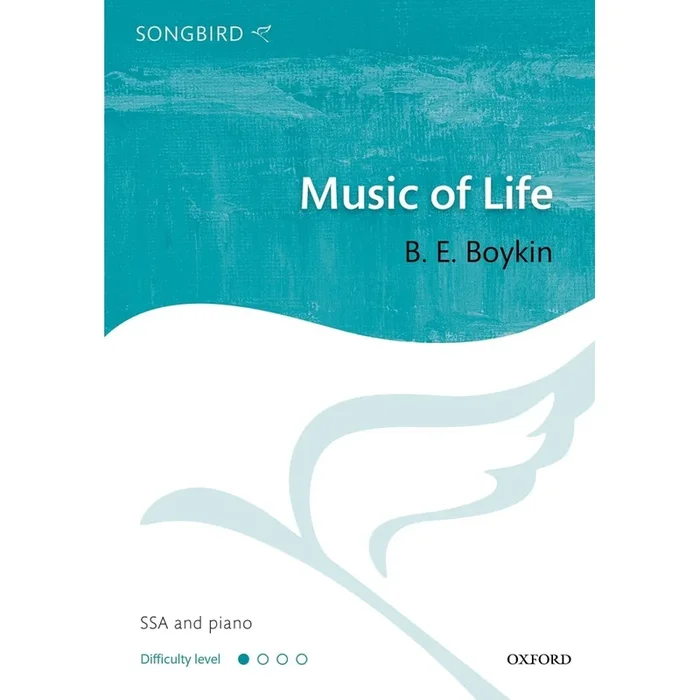 Boykin, B. E. – Music of Life