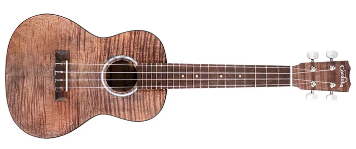 Cordoba 15CFM Concert Ukulele Flamed Maple Granite Grey