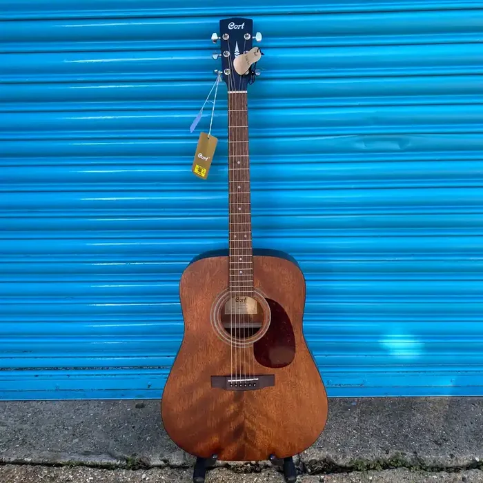 Cort Earth 60M