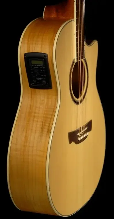 Crafter Acoustic GAE 650 TM/N