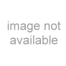 Drum Head-Holographic 22in Skull