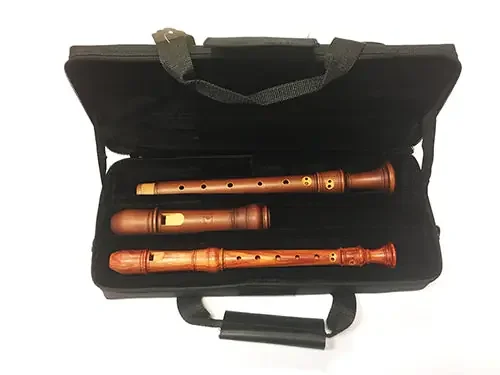 EMS HD3R Multi Purpose 3 Slot Recorder/Flute Case