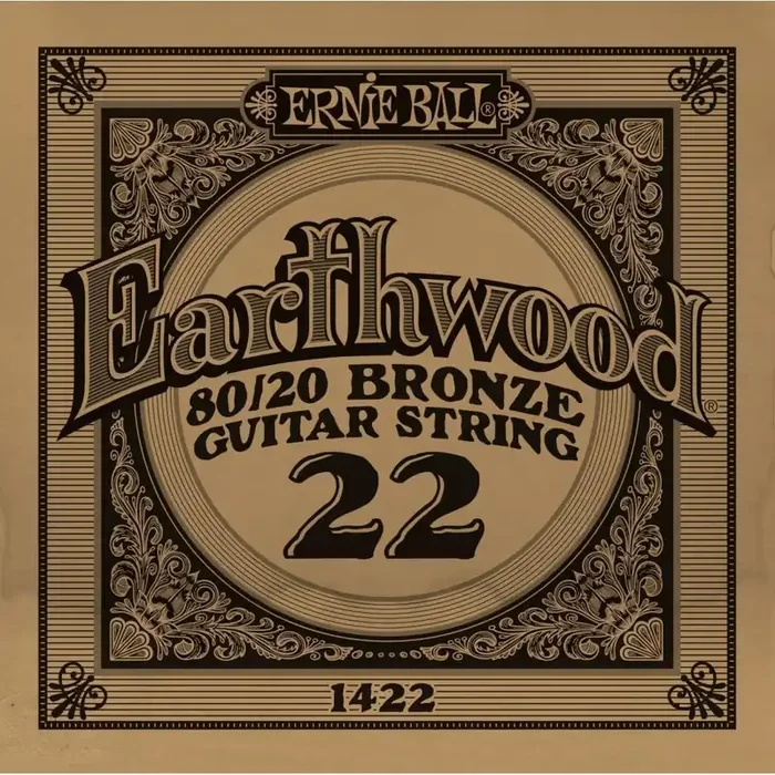 Ernie Ball Earthwood 80/20 Bronze .022w Acoustic Guitar Single String