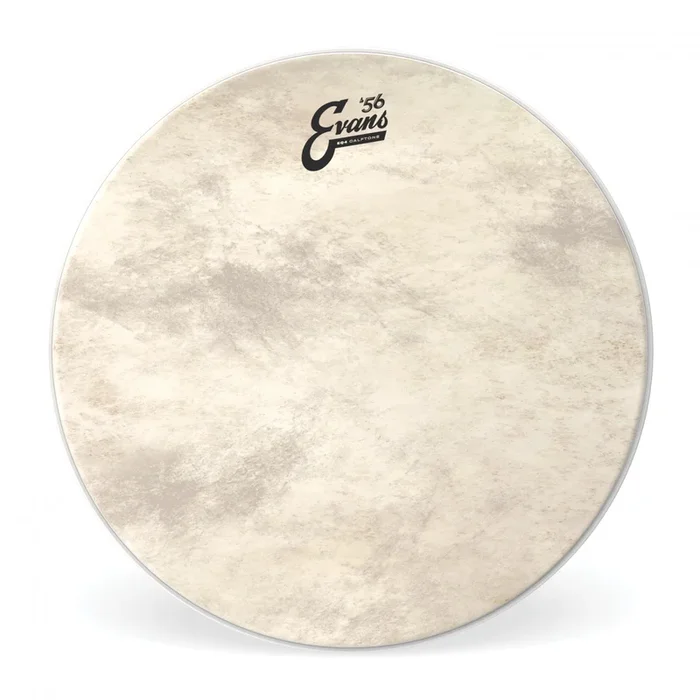 Evans 20″ EQ4 Calftone Drumhead