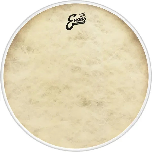 Evans Calftone Bass Drum head 18″