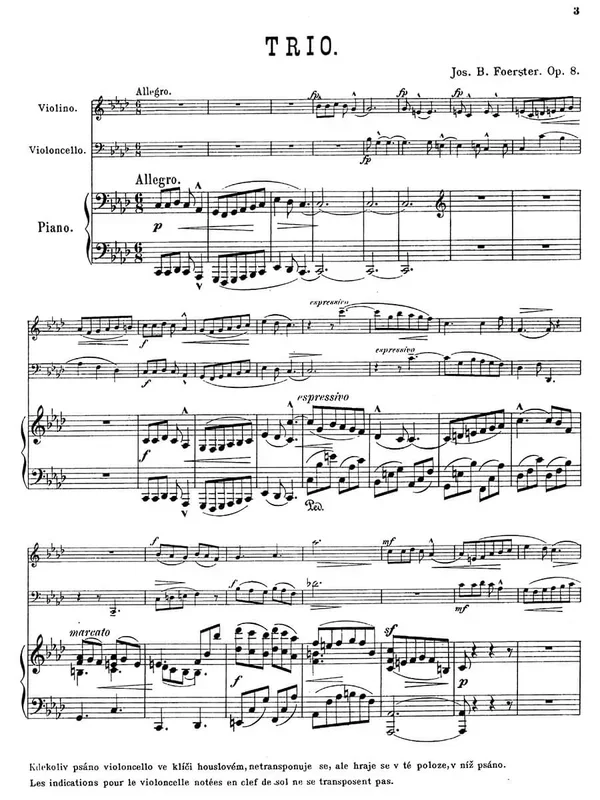 Foerster: Piano Trio No. 1 in F Minor, Op. 8