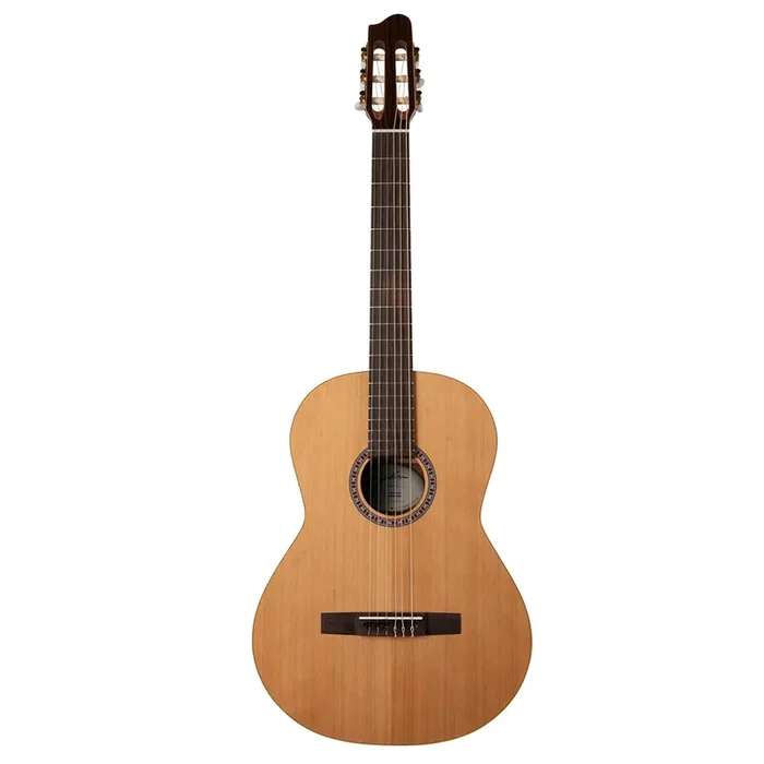 Godin Concert Nylon String Guitar ~ Left Hand