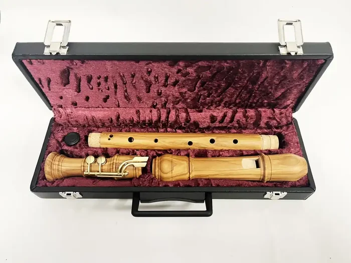 Hard Case for Tenor Recorder by Early Music Shop