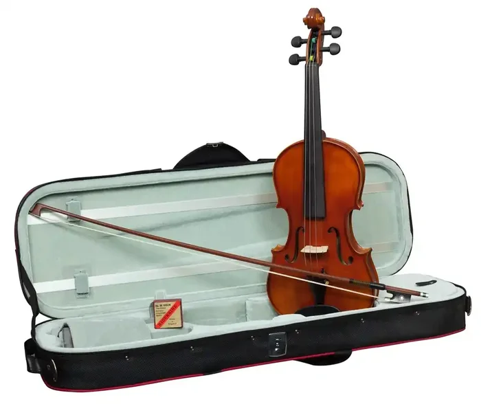 Hidersine Academy Vivente Violin equipped with Wittner Geared Pegs