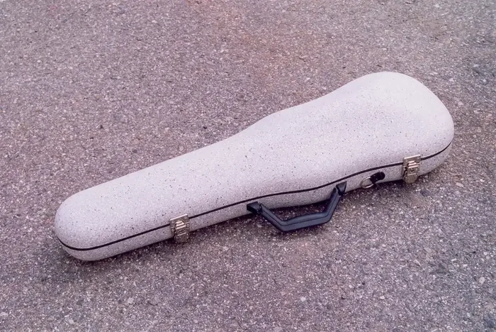 IKA Light Violin Case