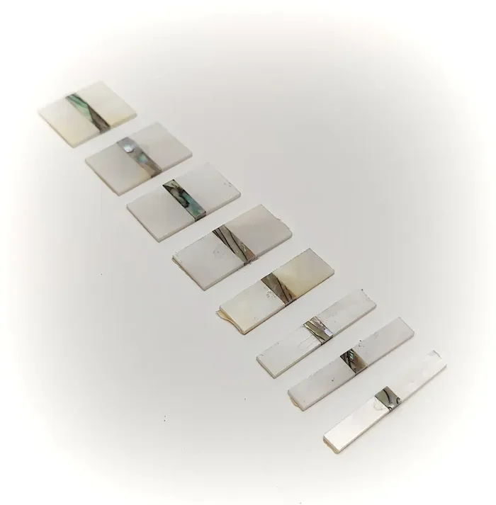 Inlay Set – Rectangles – Abalone and Mother of Pearl – Set of 8