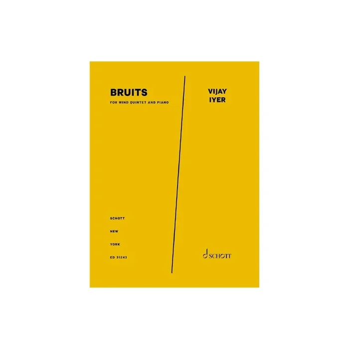 Iyer, Vijay – Bruits