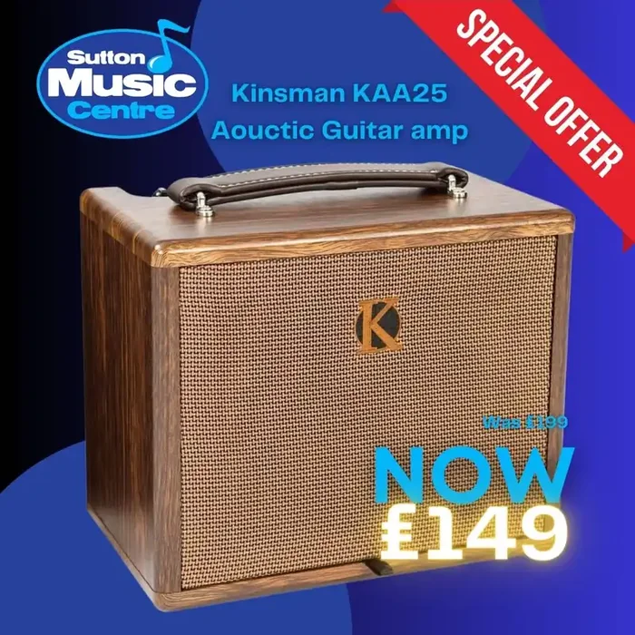 Kinsman Acoustic Amplifier