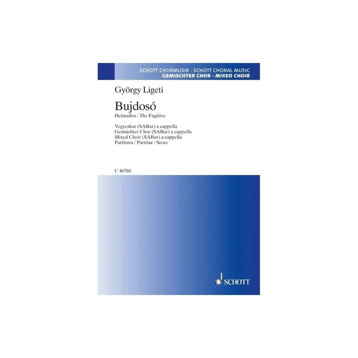 Ligeti, György – Bujdosó – Bedrückung