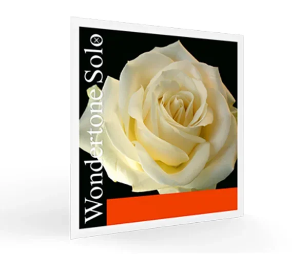 Pirastro Violin Wondertone Adv.E Loop