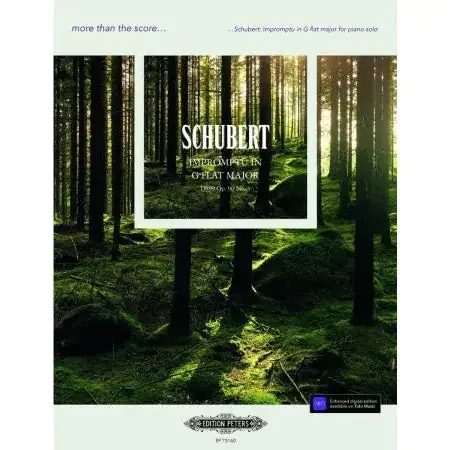 Schubert, Franz more than the score – Impromptu in Gb