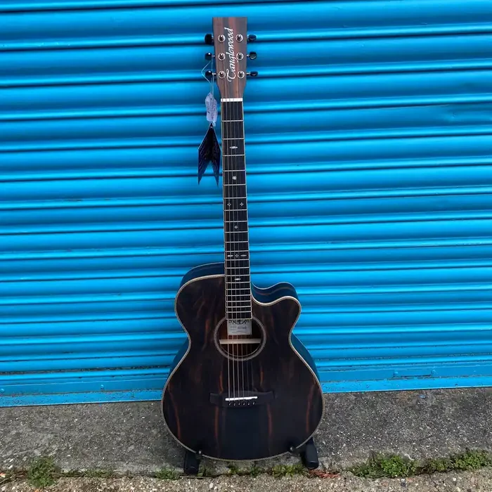 Tanglewood Reunion Pro TRU4CE AE (TR PRO SFCE AEB) Electro-Acoustic Guitar (Super Folk With Cutaway)