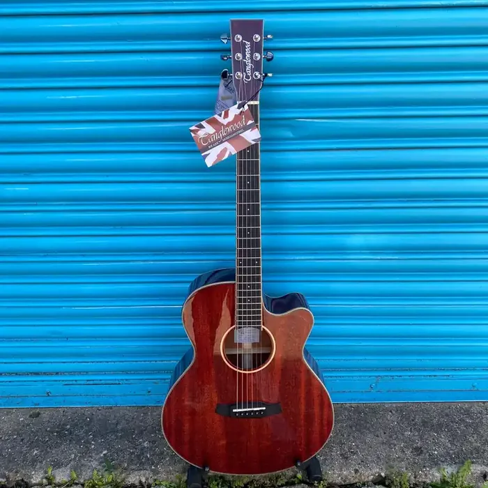 Tanglewood TW4 E R Winterleaf Electro-Acoustic