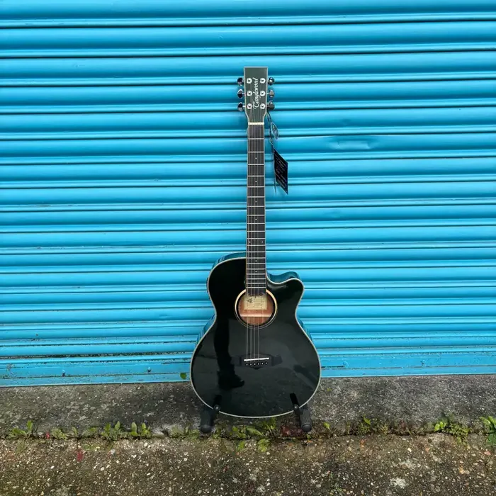 Tanglewood TW4CEFG Winterleaf with Solid Mahogany Top Electro Acoustic Guitar