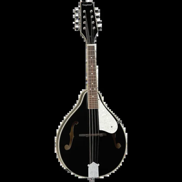 Tanglewood TWMTBKP Union Series Mandolin Black