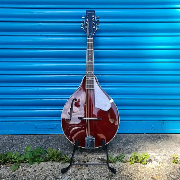 Tanglewood Union Mandolin TWMTWR