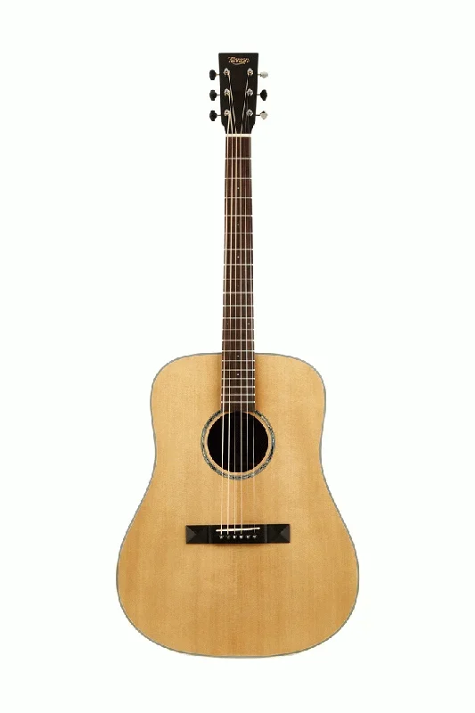 Tasman TA200-E Dreadnought Acoustic Electric With Premium Hard Case