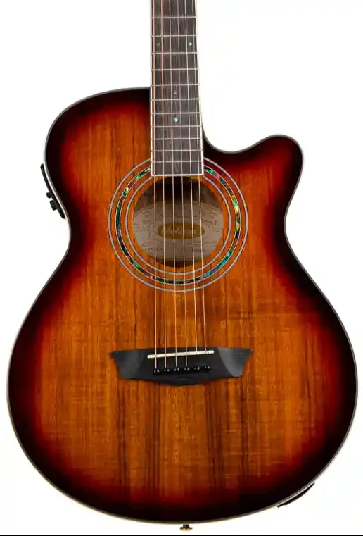 Washburn EA55G Festival Series Mini Jumbo Cutaway – Koa Burst