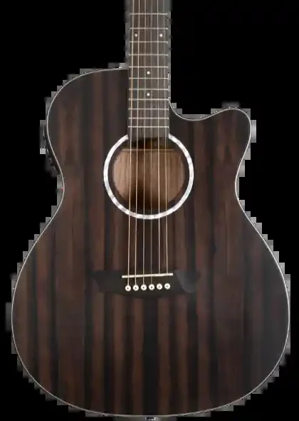 Washburn EBONY ACE Deep Forest Grand Auditorium – Natural Matte
