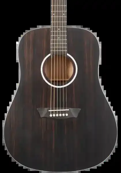 Washburn EBONY D Deep Forest Dreadnought – Natural Matte