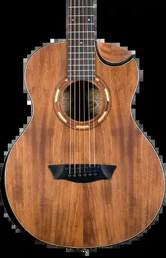 Washburn G-MINI 55 KOA – Mini/Travel – Natural