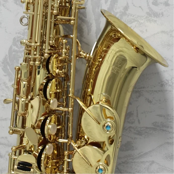 Yanagisawa AWO1 ‘Professional’ Alto Saxophone