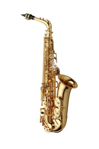 Yanagisawa AWO1 Alto Saxophone